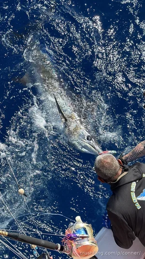 Man fishing on a boat, holding a large marlin in the ocean.