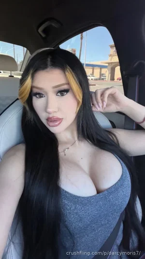 Woman with long black and blonde hair in a gray top, sitting in a car.