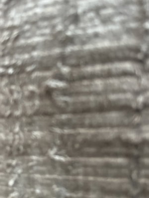 Blurry close-up of gray textured skin-like surface.