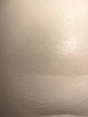 Close-up of skin texture, possibly thigh or torso, with soft lighting.