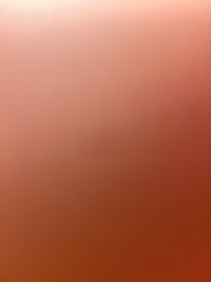 Blurred gradient background with no visible person or object.