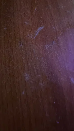 Close-up of a wooden surface with scratches and scuffs.