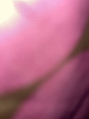 Blurred pink and purple image, no clear person or setting visible.