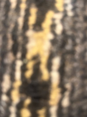 Blurred image with indistinct yellow and dark patterns, no clear person or setting.
