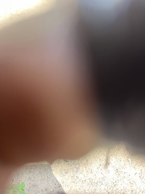 Blurred close-up of skin and sand, possibly a foot or hand near ground.