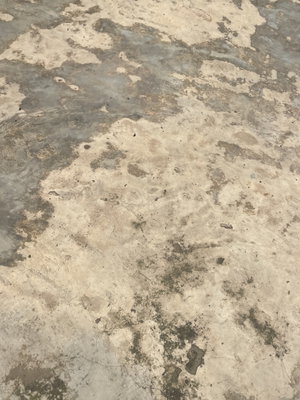 Weathered concrete surface with patches of discoloration and cracks.