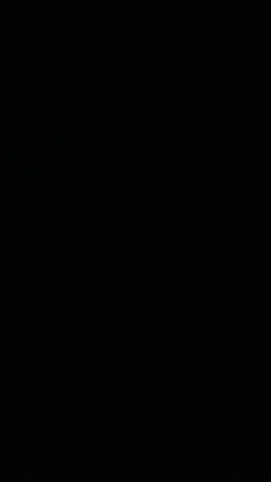Blank black image with no visible content or person.