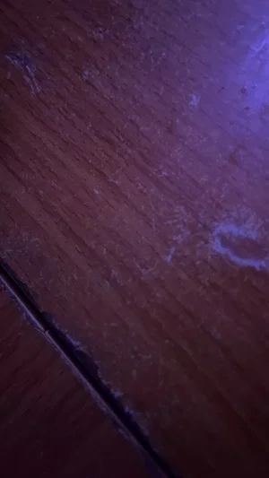 Close-up of a wooden surface with scratches and wear under purple lighting.