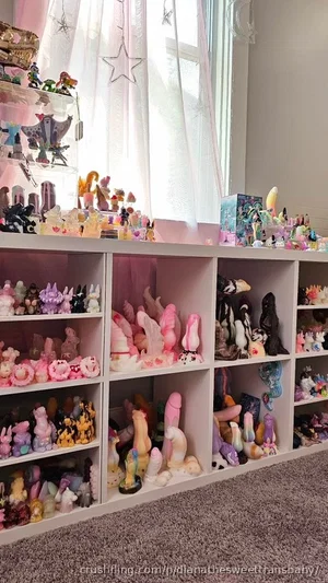 White shelving unit filled with colorful adult toys and figurines, near a window with