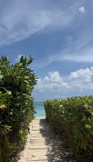 Path through green hedges leading to turquoise ocean under blue sky.