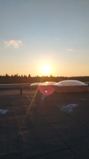 Sunset over a rooftop with skylights and distant trees.