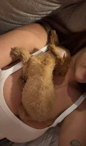 Woman in white top lying with small dog on chest indoors.