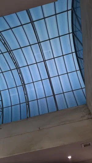 View of a curved glass ceiling with metal framing and blue sky visible above.