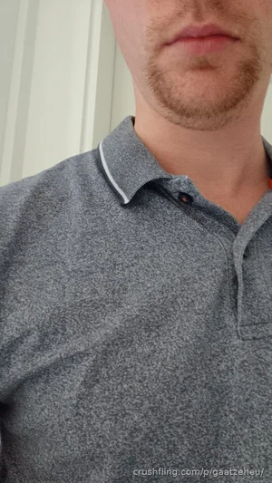 Man with short beard wearing gray polo shirt, close-up selfie indoors.