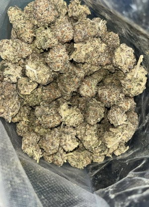 Close-up of dried cannabis buds in a clear plastic bag.