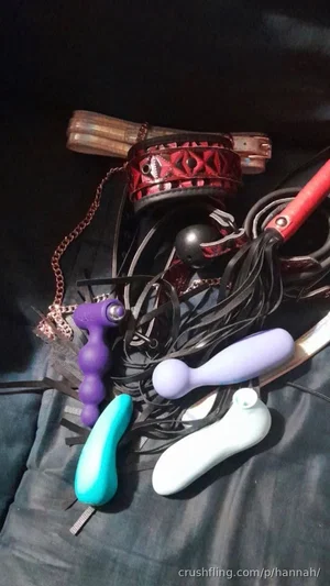 Assorted sex toys and bondage gear on dark fabric.
