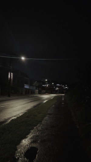 Empty wet street at night with streetlights and houses.