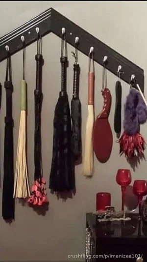 Various BDSM implements hanging on a wall rack, including floggers, paddles, and a feather duster,