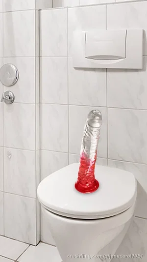 Red and clear toy on white toilet lid in tiled bathroom.