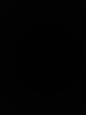 Blank black image with no visible content or person.