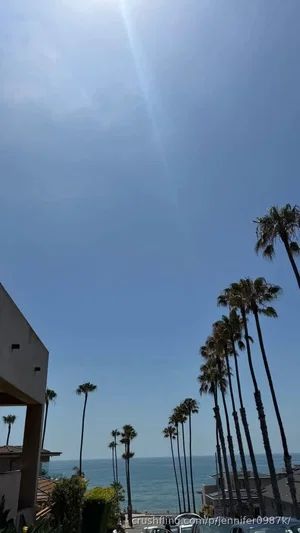 Palm trees lining a coastal view with ocean and buildings under clear blue sky.