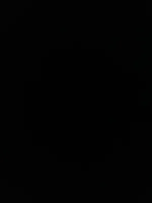 Solid black image with no visible content or figures.
