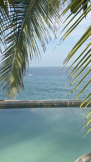 Infinity pool overlooking ocean with palm fronds.