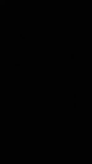 Blank black image with no visible content or person.