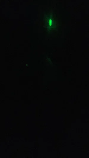 Dark image with faint green light, no clear person or object visible.