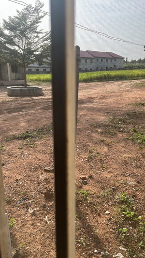 Rural outdoor scene with buildings, trees, dirt road, fields.