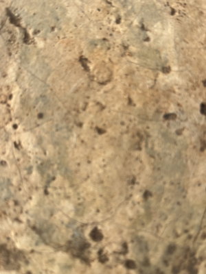 Close-up of speckled stone surface.