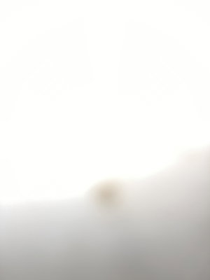 Overexposed blurry image of pale skin.