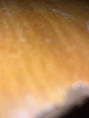 Blurry close-up of textured orange surface.