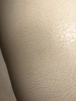 Close-up of textured skin on a person's body, possibly thigh or buttock, with soft lighting.