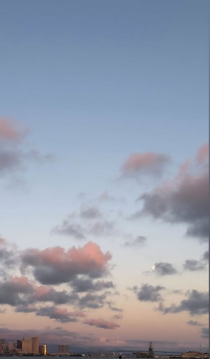 City skyline under pink and blue cloudy dusk sky with moon.