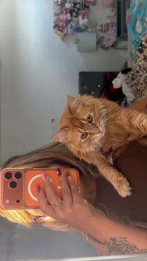 Woman with blonde hair and tattoos takes mirror selfie with orange cat on shoulder.