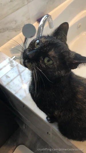 Black cat sitting on bathroom sink edge, looking up at faucet.