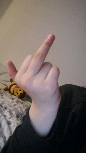 Hand making middle finger gesture, wearing dark sleeve, bed with patterned sheets and bee plushie