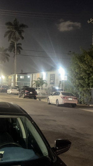 Nighttime urban street with parked cars and palm trees.