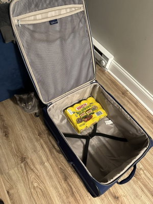 Gray cat beside open blue suitcase with chile package indoors.