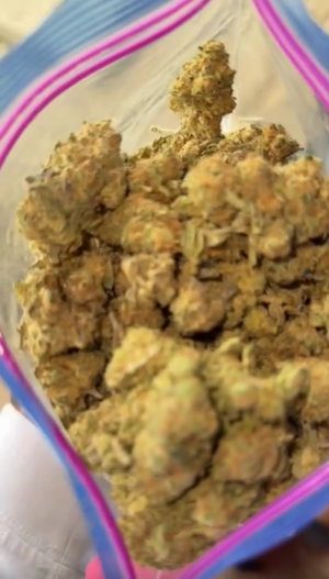 Close-up of cannabis buds in a ziplock bag.