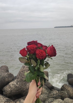 Hand holding red roses by the sea on rocks.