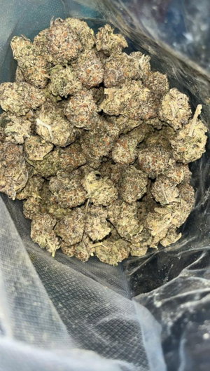 Dried cannabis buds in a plastic bag.