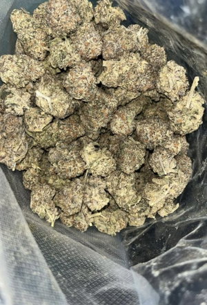 Close-up of dried cannabis buds in a clear plastic bag.