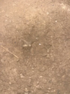 Blurry close-up of dirt ground with specks.
