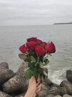 Hand holding red roses by the ocean, rocky shore, overcast sky.