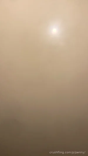 Foggy outdoor scene with a bright light source, possibly the sun, visible through mist.