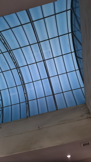 Arched glass skylight ceiling viewed from below.