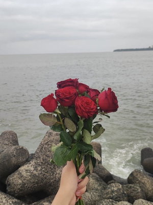 Hand holding red roses by the ocean on rocky shore.