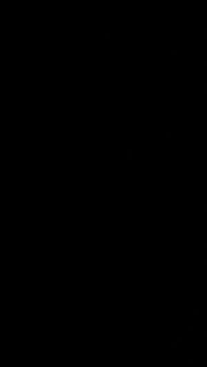 Solid black image with no visible subject.